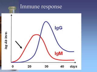 Immune response
 