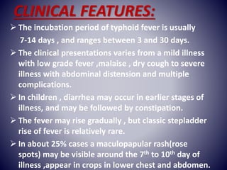 Typhoid | PPTX
