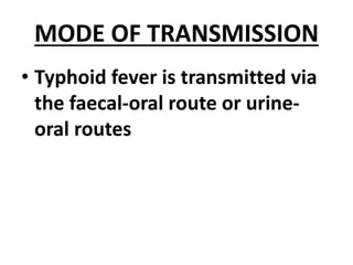 MODE OF TRANSMISSION
• Typhoid fever is transmitted via
the faecal-oral route or urine-
oral routes
 
