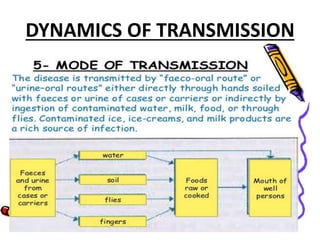 DYNAMICS OF TRANSMISSION
 