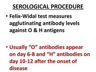 SEROLOGICAL PROCEDURE
• Felix-Widal test measures
agglutinating antibody levels
against O & H antigens
• Usually “O” antibodies appear
on day 6-8 and “H” antibodies on
day 10-12 after the onset of
disease
 