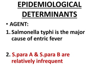 EPIDEMIOLOGICAL
DETERMINANTS
• AGENT:
1.Salmonella typhi is the major
cause of entric fever
2. S.para A & S.para B are
relatively infrequent
 
