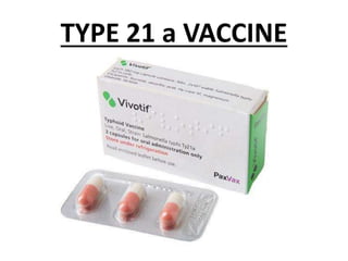 TYPE 21 a VACCINE
 