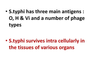 • S.typhi has three main antigens :
O, H & Vi and a number of phage
types
• S.typhi survives intra cellularly in
the tissues of various organs
 