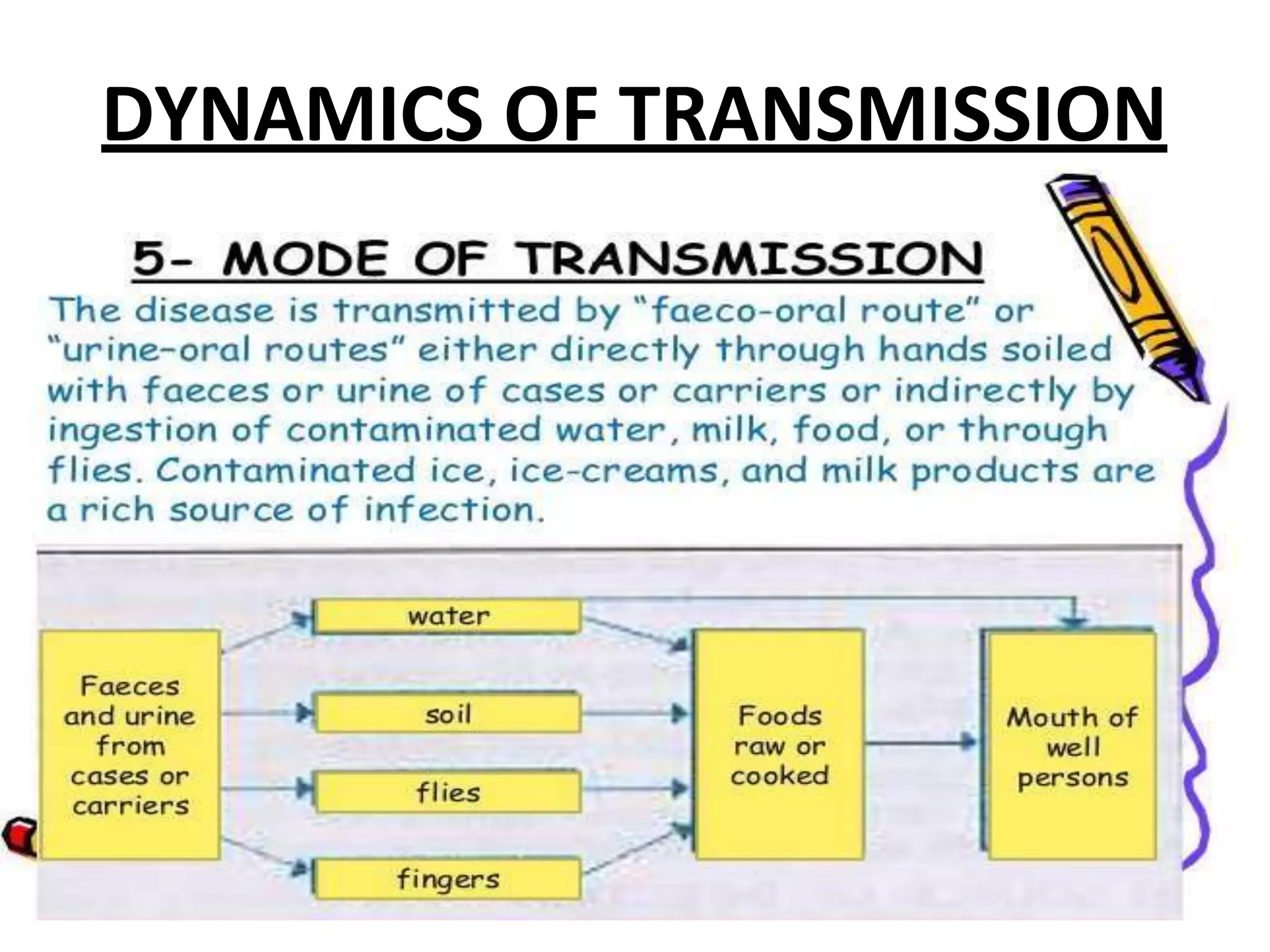 DYNAMICS OF TRANSMISSION
 