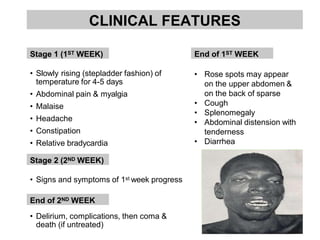 CLINICAL FEATURES
• Slowly rising (stepladder fashion) of
temperature for 4-5 days
• Abdominal pain & myalgia
• Malaise
• Headache
• Constipation
• Relative bradycardia
• Signs and symptoms of 1st week progress
• Delirium, complications, then coma &
death (if untreated)
Stage 1 (1ST WEEK)
Stage 2 (2ND WEEK)
• Rose spots may appear
on the upper abdomen &
on the back of sparse
• Cough
• Splenomegaly
• Abdominal distension with
tenderness
• Diarrhea
End of 1ST WEEK
End of 2ND WEEK
 