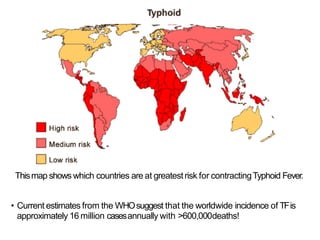 Thismap shows which countries are at greatestrisk for contractingTyphoid Fever.
• Current estimates from the WHOsuggest that the worldwide incidence of TFis
approximately 16 million casesannually with >600,000deaths!
 