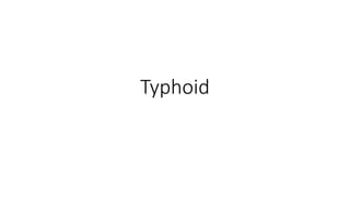 Typhoid
 