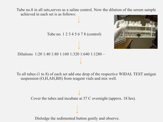 Tube no.8 in all sets,serves as a saline control. Now the dilution of the serum sample
achieved in each set is as follows:
Tube no. 1 2 3 4 5 6 7 8 (control)
Dilutions 1:20 1:40 1:80 1:160 1:320 1:640 1:1280 –
To all tubes (1 to 8) of each set add one drop of the respective WIDAL TEST antigen
suspension (O,H,AH,BH) from reagent vials and mix well.
Cover the tubes and incubate at 37 C overnight (approx. 18 hrs).
Dislodge the sedimented button gently and observe.
 