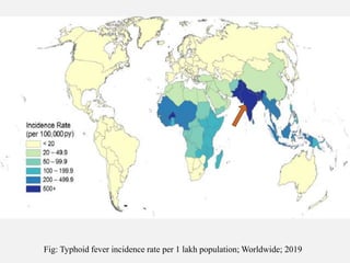 Fig: Typhoid fever incidence rate per 1 lakh population; Worldwide; 2019
 