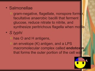 Salmonellae  gram-negative, flagellate, nonspore former, facultative anaerobic bacilli that ferment glucose, reduce nitrate to nitrite, and synthesize peritrichous flagella when motile.  S typhi  has O and H antigens,  an envelope (K) antigen, and a LPS macromolecular complex called  endotoxin  that forms the outer portion of the cell wall 