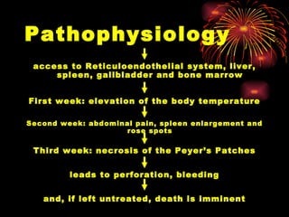 Pathophysiology access to Reticuloendothelial system, liver, spleen, gallbladder and bone marrow First week: elevation of the body temperature Second week: abdominal pain, spleen enlargement and rose spots Third week: necrosis of the Peyer’s Patches leads to perforation, bleeding and, if left untreated, death is imminent 