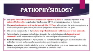  The cystic fibrosis transmembrane conductance regulator (CFTR) is said to be important in the
uptake of Salmonella; so, patients with abnormal CFTR protein are resistant to typhoid.
 The transferred proteins activate the host cell Rho GTPases, which trigger the actin rearrangement so
that bacterial protein uptake takes place in the phagosomes where the bacteria can grow.
 This special characteristic of the bacteria helps them to remain viable in a pool of host immunity.
 Salmonella also produces a molecule that stimulates the epithelial release of chemoattractant
eicosanoid, which sequesters neutrophils into the lumen and potentiates mucosal damage.
 Bacteria induce proliferation of Payer patches via recruitment of lymphocytes and mononuclear cells
and induce necrosis and eventually, ulceration that complicates the symptoms.
 Pathogens reach the reticuloendothelial system via both lymphatic system and bloodstream, including
other multiple organs, most commonly gallbladder in almost all cases.
Pathophysiology
 