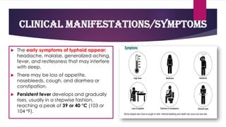  The early symptoms of typhoid appear:
headache, malaise, generalized aching,
fever, and restlessness that may interfere
with sleep.
 There may be loss of appetite,
nosebleeds, cough, and diarrhea or
constipation.
 Persistent fever develops and gradually
rises, usually in a stepwise fashion,
reaching a peak of 39 or 40 °C (103 or
104 °F).
Clinical Manifestations/Symptoms
 