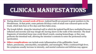  During about the second week of fever, typhoid bacilli are present in great numbers in the
bloodstream. At that point, some patients develop a rash of small rose-coloured spots on the
trunk, which lasts four or five days and then fades away.
 The lymph follicle along the intestinal wall in which the typhoid bacilli have multiplied become
inflamed and necrotic and may slough off, leaving ulcers in the walls of the intestine. The dead
fragments of intestinal tissue may erode blood vessels, causing hemorrhage, or they may
perforate the intestinal wall, allowing the intestine’s contents to enter the peritoneal cavity
(peritonitis).
 Other complications can include acute inflammation of the gallbladder, heart
failure, pneumonia, osteomyelitis, encephalitis, and meningitis. With a continued high fever,
the symptoms usually increase in intensity, and mental confusion and delirium may appear.
Clinical Manifestations
 