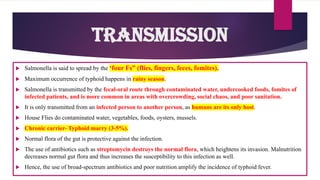  Salmonella is said to spread by the ‘four Fs” (flies, fingers, feces, fomites).
 Maximum occurrence of typhoid happens in rainy season.
 Salmonella is transmitted by the fecal-oral route through contaminated water, undercooked foods, fomites of
infected patients, and is more common in areas with overcrowding, social chaos, and poor sanitation.
 It is only transmitted from an infected person to another person, as humans are its only host.
 House Flies do contaminated water, vegetables, foods, oysters, mussels.
 Chronic carrier- Typhoid marry (3-5%).
 Normal flora of the gut is protective against the infection.
 The use of antibiotics such as streptomycin destroys the normal flora, which heightens its invasion. Malnutrition
decreases normal gut flora and thus increases the susceptibility to this infection as well.
 Hence, the use of broad-spectrum antibiotics and poor nutrition amplify the incidence of typhoid fever.
Transmission
 