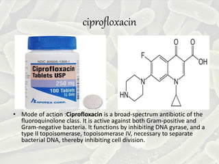 ciprofloxacin
• Mode of action :Ciprofloxacin is a broad-spectrum antibiotic of the
fluoroquinolone class. It is active against both Gram-positive and
Gram-negative bacteria. It functions by inhibiting DNA gyrase, and a
type II topoisomerase, topoisomerase IV, necessary to separate
bacterial DNA, thereby inhibiting cell division.
 