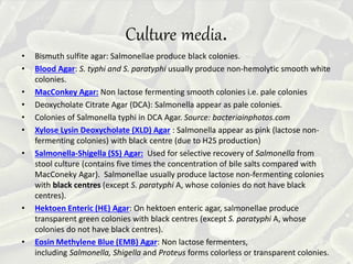 Culture media.
• Bismuth sulfite agar: Salmonellae produce black colonies.
• Blood Agar: S. typhi and S. paratyphi usually produce non-hemolytic smooth white
colonies.
• MacConkey Agar: Non lactose fermenting smooth colonies i.e. pale colonies
• Deoxycholate Citrate Agar (DCA): Salmonella appear as pale colonies.
• Colonies of Salmonella typhi in DCA Agar. Source: bacteriainphotos.com
• Xylose Lysin Deoxycholate (XLD) Agar : Salmonella appear as pink (lactose non-
fermenting colonies) with black centre (due to H2S production)
• Salmonella-Shigella (SS) Agar: Used for selective recovery of Salmonella from
stool culture (contains five times the concentration of bile salts compared with
MacConeky Agar). Salmonellae usually produce lactose non-fermenting colonies
with black centres (except S. paratyphi A, whose colonies do not have black
centres).
• Hektoen Enteric (HE) Agar: On hektoen enteric agar, salmonellae produce
transparent green colonies with black centres (except S. paratyphi A, whose
colonies do not have black centres).
• Eosin Methylene Blue (EMB) Agar: Non lactose fermenters,
including Salmonella, Shigella and Proteus forms colorless or transparent colonies.
 