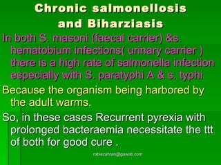 Chronic salmonellosis and Biharziasis In both S. masoni (faecal carrier) &s. hematobium infections( urinary carrier ) there is a high rate of salmonella infection  especially with S. paratyphi A & s. typhi Because the organism being harbored by the adult warms.   So, in these cases Recurrent pyrexia with prolonged bacteraemia necessitate the ttt of both for good cure . [email_address] 