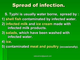 Spread of infection.   S. Typhi is usually water borne,  spread by : 1)  shell fish  contaminated by infected water. 2)  infected milk  and  ice cream  made with  infected milk products. 3)  salads , which have been washed with  infected water. 4)  ice .  5) contaminated  meat and poultry   (occasionally).   [email_address] 