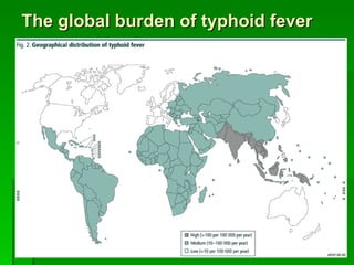 [email_address] The global burden of typhoid fever 