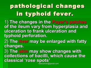 pathological changes in typhoid fever.  1)  The changes in the  Payer's patches  of the ileum vary from hyperplasia and ulceration to frank ulceration and  typhoid perforation. 2)  The  liver  may be enlarged with fatty changes. 3)  The  skin  may show changes with collections of bacilli, which cause the classical ‘rose spots’   [email_address] 