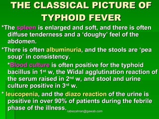 THE CLASSICAL PICTURE OF TYPHOID FEVER *The  spleen  is enlarged and soft, and there is often diffuse tenderness and a ‘doughy’ feel of the abdomen.  *There is often  albuminuria , and the stools are ‘pea soup’ in consistency. * Blood culture  is often positive for the typhoid bacillus in 1 st  w, the Widal agglutination reaction of the serum raised in 2 nd  w, and stool and urine culture positive in 3 rd  w.  *  leucopenia , and the  diazo reaction  of the urine is positive in over 90% of patients during the febrile phase of the illness. [email_address] 