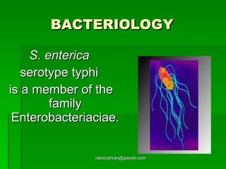 BACTERIOLOGY   S. enterica   serotype typhi  is a member of the family Enterobacteriaciae.  [email_address] 