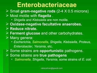 [email_address] Enterobacteriaceae Small  gram-negative rods  (2-4 X 0.5 microns) Most motile with  flagella  . Shigella  and  Klebsiella  are   non motile. Oxidase-negative   facultative anaerobes. Reduce nitrate. Ferment glucose  and other carbohydrates. Many genera: Escherichia ,   Salmonella , Shigella,   Klebsiella,   Proteus,   Enterobacter,   Yersinia , etc . Some strains are  opportunistic  pathogens. Some strains are  true pathogens Salmonella ,  Shigella ,  Yersinia , some strains of  E. coli. 