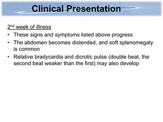 Clinical Presentation
2nd week of illness
• These signs and symptoms listed above progress
• The abdomen becomes distended, and soft splenomegaly
   is common
• Relative bradycardia and dicrotic pulse (double beat, the
   second beat weaker than the first) may also develop
 