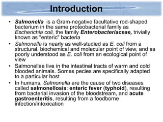 Introduction
• Salmonella is a Gram-negative facultative rod-shaped
  bacterium in the same proteobacterial family as
  Escherichia coli, the family Enterobacteriaceae, trivially
  known as "enteric" bacteria
• Salmonella is nearly as well-studied as E. coli from a
  structural, biochemical and molecular point of view, and as
  poorly understood as E. coli from an ecological point of
  view
• Salmonellae live in the intestinal tracts of warm and cold
  blooded animals. Somes pecies are specifically adapted
  to a particular host
• In humans, Salmonella are the cause of two diseases
  called salmonellosis: enteric fever (typhoid), resulting
  from bacterial invasion of the bloodstream, and acute
  gastroenteritis, resulting from a foodborne
  infection/intoxication
 