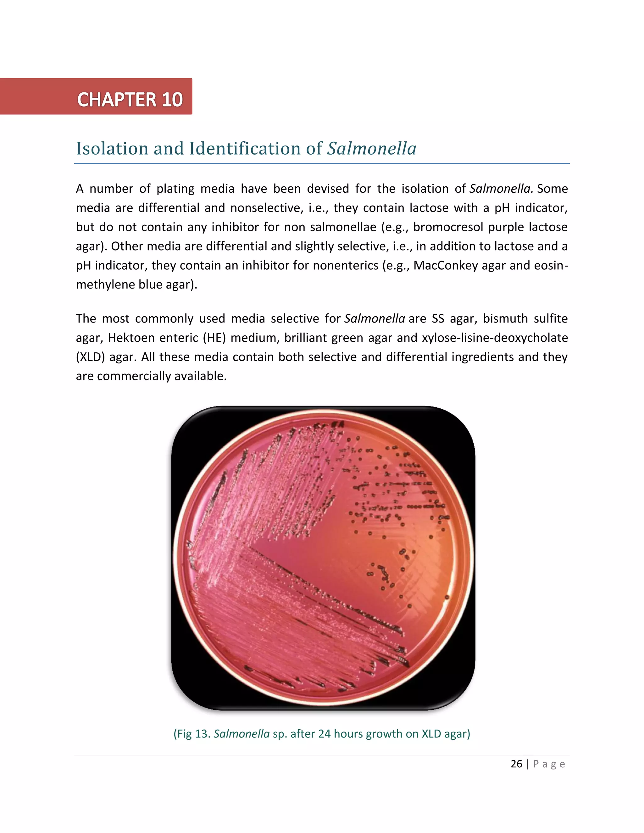 26 | P a g e
Isolation and Identification of Salmonella
A number of plating media have been devised for the isolation of Salmonella. Some
media are differential and nonselective, i.e., they contain lactose with a pH indicator,
but do not contain any inhibitor for non salmonellae (e.g., bromocresol purple lactose
agar). Other media are differential and slightly selective, i.e., in addition to lactose and a
pH indicator, they contain an inhibitor for nonenterics (e.g., MacConkey agar and eosin-
methylene blue agar).
The most commonly used media selective for Salmonella are SS agar, bismuth sulfite
agar, Hektoen enteric (HE) medium, brilliant green agar and xylose-lisine-deoxycholate
(XLD) agar. All these media contain both selective and differential ingredients and they
are commercially available.
(Fig 13. Salmonella sp. after 24 hours growth on XLD agar)
 