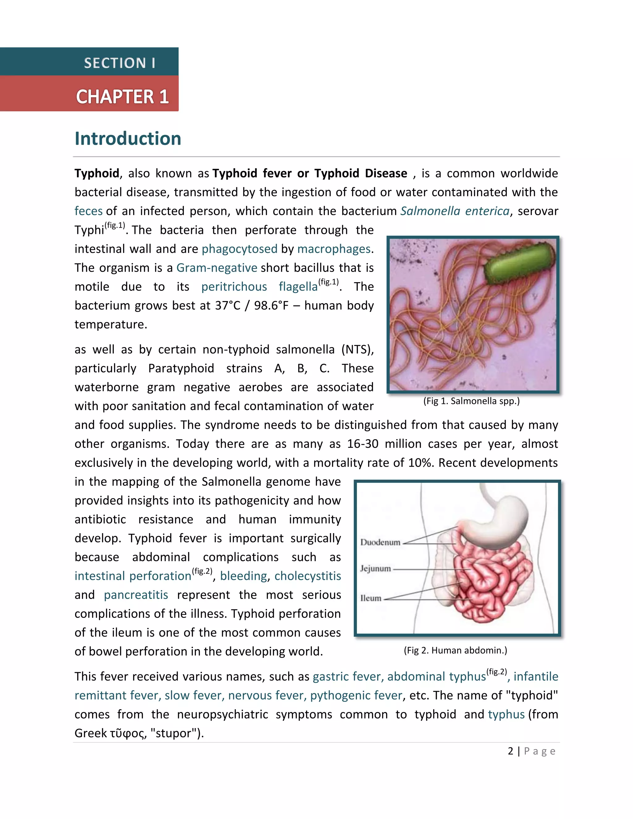 2 | P a g e
Introduction
Typhoid, also known as Typhoid fever or Typhoid Disease , is a common worldwide
bacterial disease, transmitted by the ingestion of food or water contaminated with the
feces of an infected person, which contain the bacterium Salmonella enterica, serovar
Typhi(fig.1)
. The bacteria then perforate through the
intestinal wall and are phagocytosed by macrophages.
The organism is a Gram-negative short bacillus that is
motile due to its peritrichous flagella(fig.1)
. The
bacterium grows best at 37°C / 98.6°F – human body
temperature.
as well as by certain non-typhoid salmonella (NTS),
particularly Paratyphoid strains A, B, C. These
waterborne gram negative aerobes are associated
with poor sanitation and fecal contamination of water
and food supplies. The syndrome needs to be distinguished from that caused by many
other organisms. Today there are as many as 16-30 million cases per year, almost
exclusively in the developing world, with a mortality rate of 10%. Recent developments
in the mapping of the Salmonella genome have
provided insights into its pathogenicity and how
antibiotic resistance and human immunity
develop. Typhoid fever is important surgically
because abdominal complications such as
intestinal perforation(fig.2)
, bleeding, cholecystitis
and pancreatitis represent the most serious
complications of the illness. Typhoid perforation
of the ileum is one of the most common causes
of bowel perforation in the developing world.
This fever received various names, such as gastric fever, abdominal typhus(fig.2)
, infantile
remittant fever, slow fever, nervous fever, pythogenic fever, etc. The name of "typhoid"
comes from the neuropsychiatric symptoms common to typhoid and typhus (from
Greek τῦϕος, "stupor").
(Fig 1. Salmonella spp.)
(Fig 2. Human abdomin.)
 