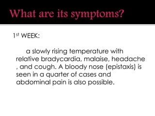 1st WEEK:
a slowly rising temperature with
relative bradycardia, malaise, headache
, and cough. A bloody nose (epistaxis) is
seen in a quarter of cases and
abdominal pain is also possible.
 