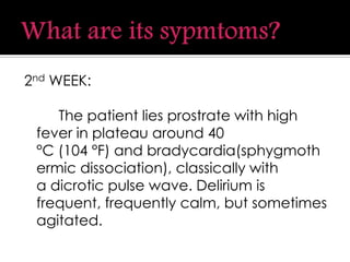 2nd WEEK:
The patient lies prostrate with high
fever in plateau around 40
°C (104 °F) and bradycardia(sphygmoth
ermic dissociation), classically with
a dicrotic pulse wave. Delirium is
frequent, frequently calm, but sometimes
agitated.
 