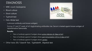 •
•
•
•
•
•
•
•
•
 