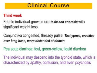 Third week
Febrile individual grows more toxic and anorexic with
significant weight loss
Conjunctiva congested, thready pulse, Tachypnea, crackles
over lung base, more distended abdomen.
Pea soup diarrhea: foul, green-yellow, liquid diarrhea
The individual may descend into the typhoid state, which is
characterized by apathy, confusion, and even psychosis
Clinical Course
 