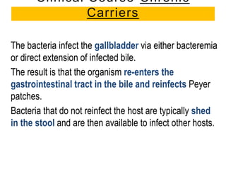 The bacteria infect the gallbladder via either bacteremia
or direct extension of infected bile.
The result is that the organism re-enters the
gastrointestinal tract in the bile and reinfects Peyer
patches.
Bacteria that do not reinfect the host are typically shed
in the stool and are then available to infect other hosts.
Clinical Course-Chronic
Carriers
 