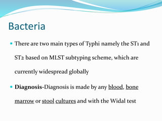Bacteria
 There are two main types of Typhi namely the ST1 and
ST2 based on MLST subtyping scheme, which are
currently widespread globally
 Diagnosis-Diagnosis is made by any blood, bone
marrow or stool cultures and with the Widal test
 