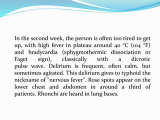 In the second week, the person is often too tired to get
up, with high fever in plateau around 40 °C (104 °F)
and bradycardia (sphygmothermic dissociation or
Faget sign), classically with a dicrotic
pulse wave. Delirium is frequent, often calm, but
sometimes agitated. This delirium gives to typhoid the
nickname of "nervous fever". Rose spots appear on the
lower chest and abdomen in around a third of
patients. Rhonchi are heard in lung bases.
 