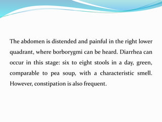 The abdomen is distended and painful in the right lower
quadrant, where borborygmi can be heard. Diarrhea can
occur in this stage: six to eight stools in a day, green,
comparable to pea soup, with a characteristic smell.
However, constipation is also frequent.
 