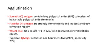 Agglutination
• Somatic (O) antigen: contain long polysaccharides (LPS) comprises of
heat stable polysaccharide commonly.
• Flagellar (H) antigen are strongly immunogenic and induces antibody
formation rapidly.
• WIDAL TEST O>1 in 160 H>1 in 320, false positive in other infectious
causes.
• Typhidot: IgM IgG detects in one hour (sensitivity>95%, specificity
75%)
 