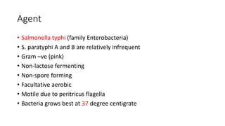 Agent
• Salmonella typhi (family Enterobacteria)
• S. paratyphi A and B are relatively infrequent
• Gram –ve (pink)
• Non-lactose fermenting
• Non-spore forming
• Facultative aerobic
• Motile due to peritricus flagella
• Bacteria grows best at 37 degree centigrate
 