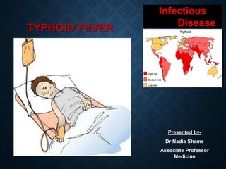 TYPHOID FEVER
Infectious
Disease
Presented by-
Dr Nadia Shams
Associate Professor
Medicine
 