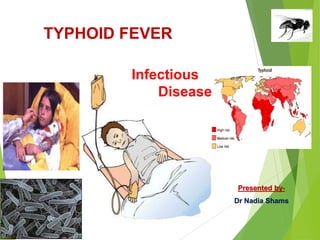 TYPHOID FEVER
Infectious
Disease
Presented by-
Dr Nadia Shams
 