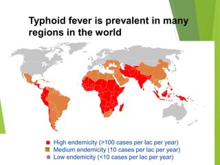 Typhoid fever is prevalent in many
regions in the world
High endemicity (>100 cases per lac per year)
Medium endemicity (10 cases per lac per year)
Low endemicity (<10 cases per lac per year)
 