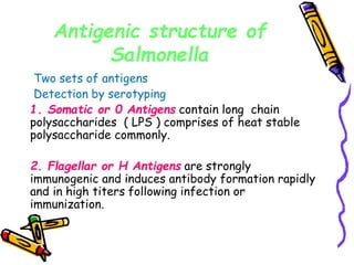 Antigenic structure of
Salmonella
Two sets of antigens
Detection by serotyping
1. Somatic or 0 Antigens contain long chain
polysaccharides ( LPS ) comprises of heat stable
polysaccharide commonly.
2. Flagellar or H Antigens are strongly
immunogenic and induces antibody formation rapidly
and in high titers following infection or
immunization.
 