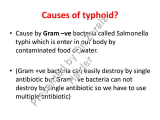 Causes of typhoid?
• Cause by Gram –ve bacteria called Salmonella
typhi which is enter in our body by
contaminated food or water.
• (Gram +ve bacteria can easily destroy by single
antibiotic but Gram - ve bacteria can not
destroy by single antibiotic so we have to use
multiple antibiotic)
 