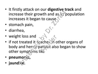 • It firstly attack on our digestive track and
increase their growth and as its population
increases it began to cause
• stomach pain,
• diarrhea,
• weight loss and
• if not treated it reaches in other organs of
body and hence patient also began to show
other symptoms like
• pneumonia,
• jaundice.
 