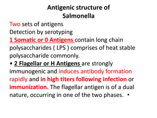 Antigenic structure of
Salmonella
Two sets of antigens
Detection by serotyping
1 Somatic or 0 Antigens contain long chain
polysaccharides ( LPS ) comprises of heat stable
polysaccharide commonly.
• 2 Flagellar or H Antigens are strongly
immunogenic and induces antibody formation
rapidly and in high titers following infection or
immunization. The flagellar antigen is of a dual
•nature, occurring in one of the two phases.
 